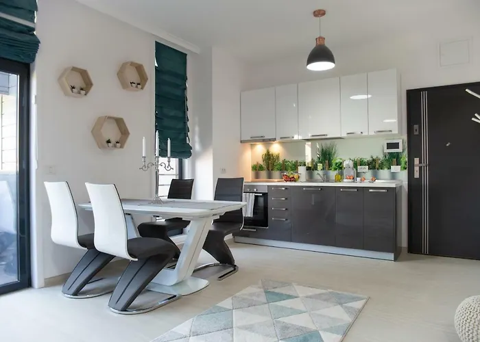 Steel Residence- Tesla Drive Experience מלון דירות טימישוארה