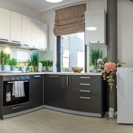 Ξενοδοχείο με διαμερίσματα Steel Residence- Tesla Drive Experience Τιμισοάρα